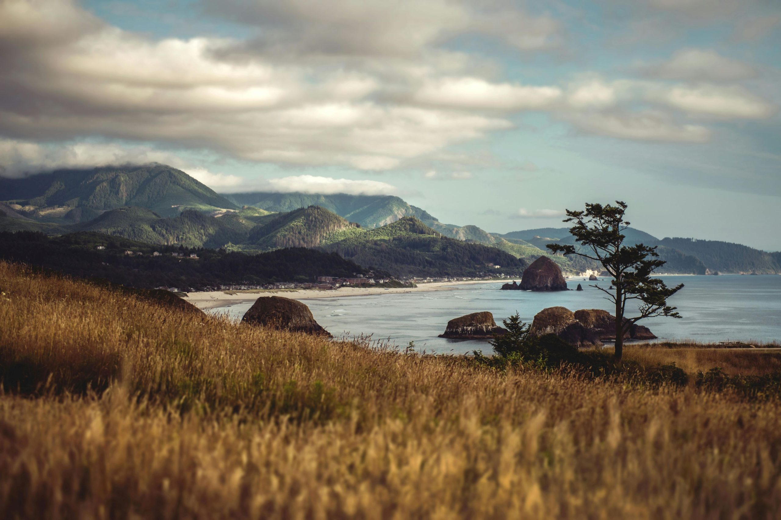 A view of the beach in Oregon